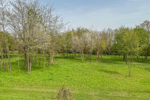 Bicamere Moruzzo con giardino cantiere 3